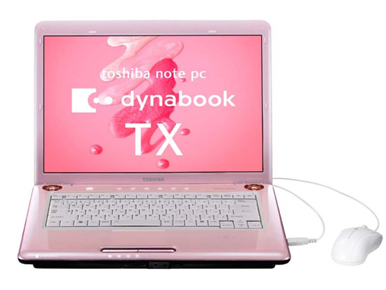 Toshiba 'Cyclone in Autumn' Laptop