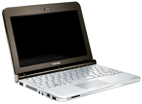 Toshiba Mini NB200 Battery Runs 9 Hours