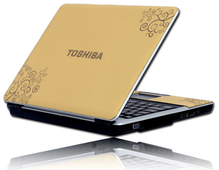 Toshiba Satellite L310-P4013 Collection of Carved Leather