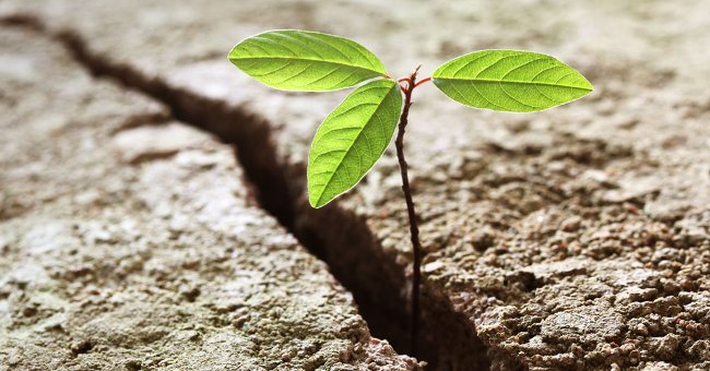 Train These 7 Qualities to Overcome All Waves: Stephen Key