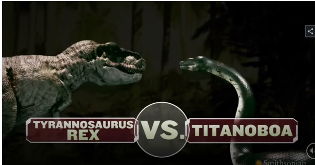 T-rex Dinosaur Confronts Titanoboa, the Largest Giant Python in Earth's History