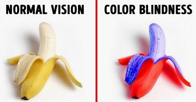Try to See What the World Looks Like in the Eyes of the Color Blind