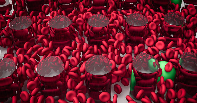 Two New Types of Blood Cells Were Discovered
