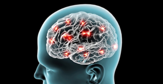 Unbelievable Story: the Brain Can Produce Sugar for Itself