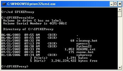 Web: Use Spike and Burp for Computer Security