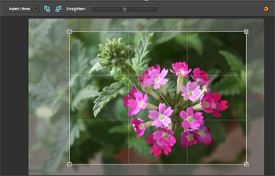 Use the Online Photoshop Photo Editor: Image
