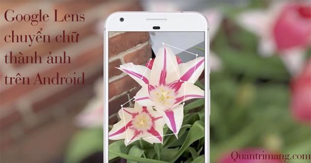 Using Google Lens to Convert Images into Words, Find Information