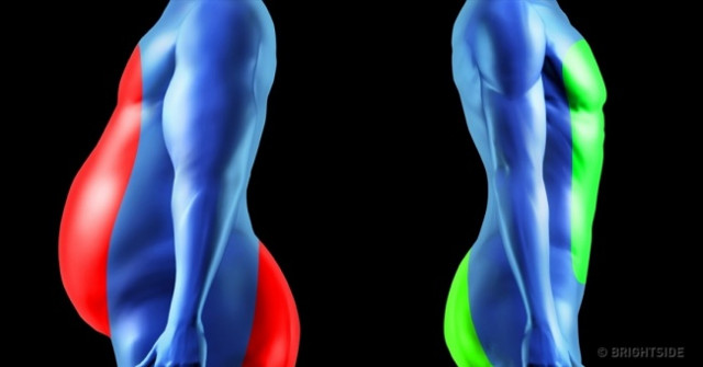 Want to Keep Your Waist Slim and Still Healthy, You Must Remember