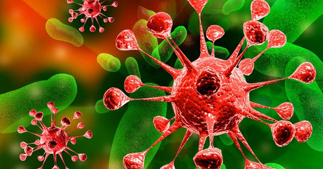 Warning: Detect a New Bird Virus That Has Been Infected with MRSA