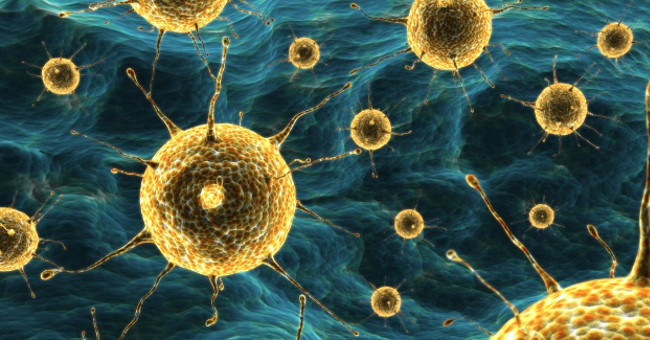 Warning: Detecting New Bacteria Resistant to Antibiotics to Treat Kidney Disease