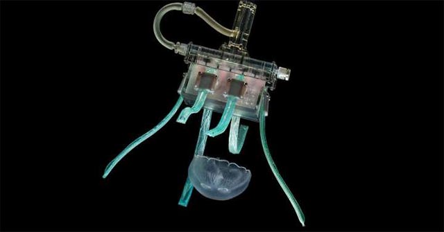 Watch the Ingenious Robot Hand Catch a Jellyfish Without Injuring