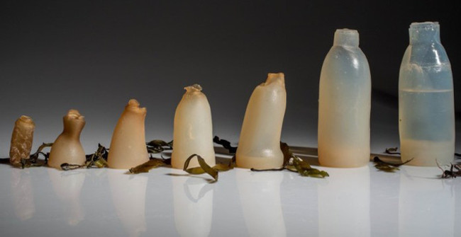 Water Bottles Made of Jelly Powder, Biodegradable and Edible