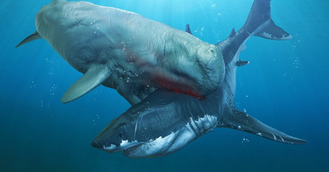 What Ancient Monsters Can Kill Megalodon Super Shark?