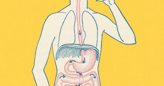 What Bad Thing Will Happen if You Dare to Skip Meals