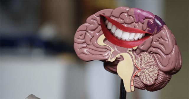 What Do You Know About the 'Catalysts' of Happiness?