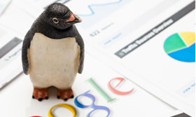 What Does Google Penguin Mean for Businesses?