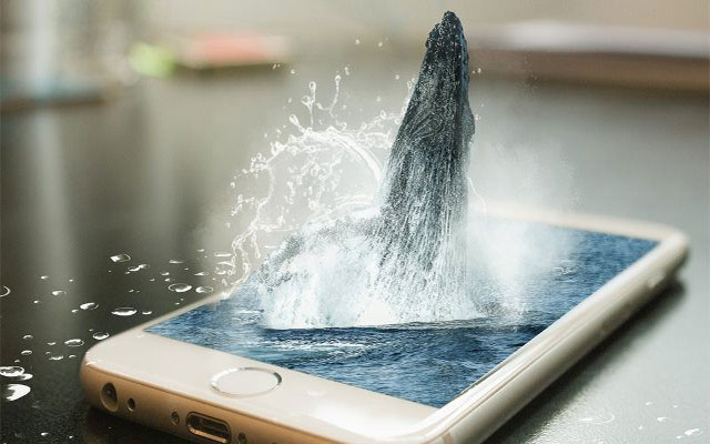 What does the term 'whale' mean in mobile games? - TipsMake.com