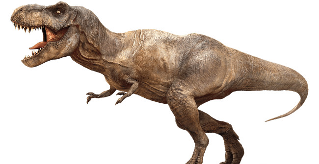 What Flavor Does the Dinosaur Meat Taste Good or Not