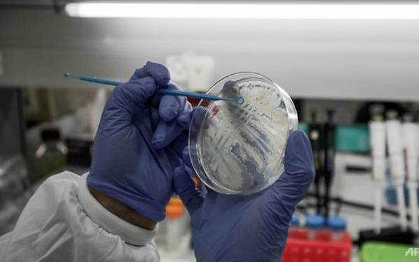 What If the World Had Not Yet Found the Covid-19 Vaccine?