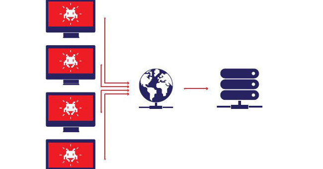 What Is A Botnet Who Does It Use To Attack And How Can You Prevent