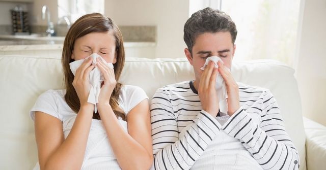 What Is Allergic Rhinitis? There Is No Cure?