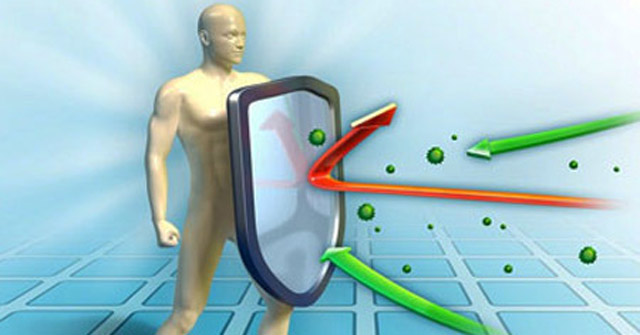 What Is Antibody? the Role of Antibodies to the Immune