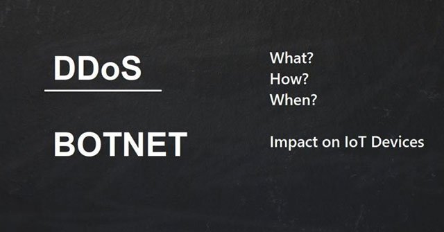 What Is Botnet Ddos?