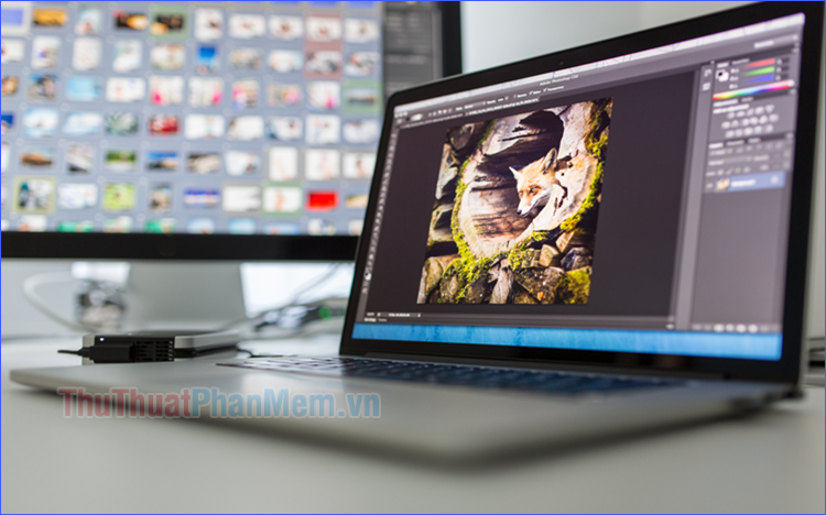 What Is Raw? What Is the Raw Image File?