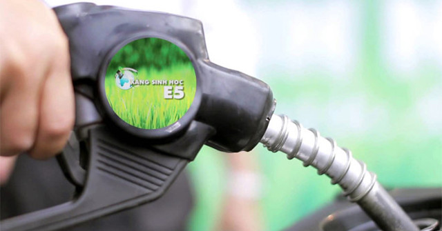 What Is Special About E5 Bio-finisher RON 92