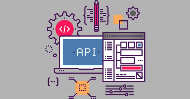 What Is API: What Is the API?