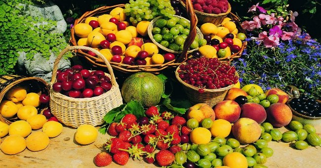 What Is the Best Time to Eat Fruit at the Time of Day
