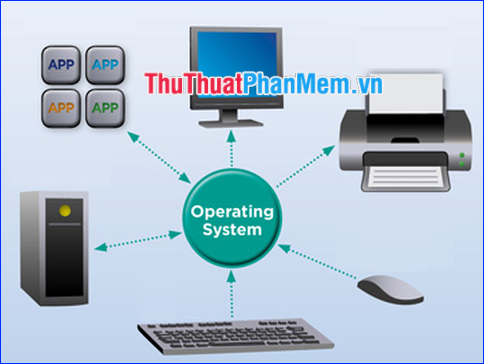 What Is the OS (Supported Operating Systems)? Overview of the Supported