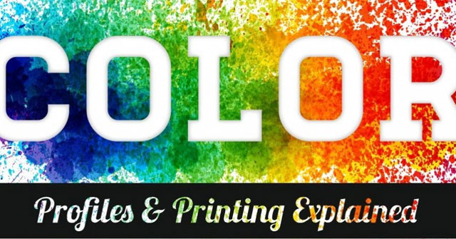 What Is Color Profile: What Is the Profile Color?