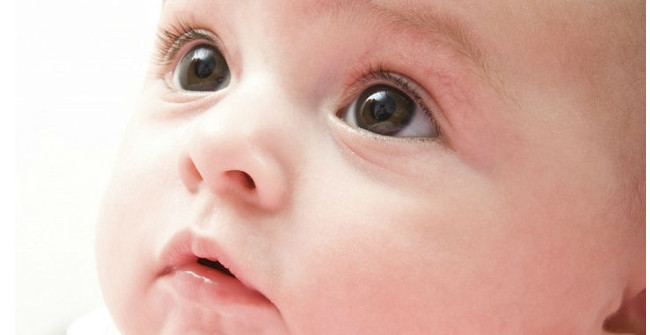 What Is the World in the Eyes of Young Children Under One Year Old