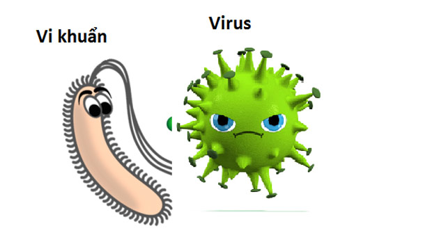 What Other Viruses Are Bacteria? Why Antibiotics Cannot Treat