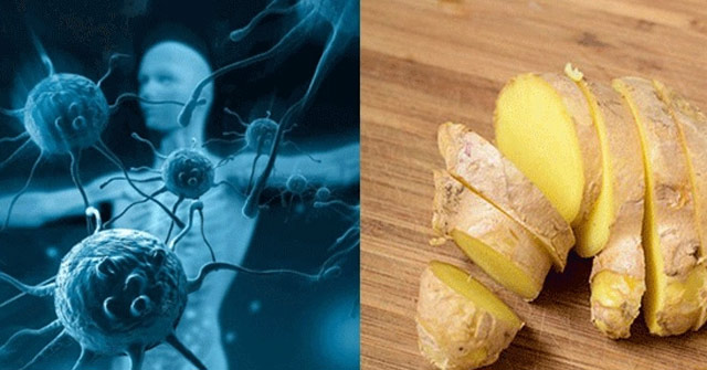What to Eat to Increase Resistance, Help the Body Fight Viruses