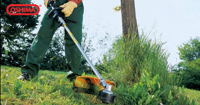 Which Country Is Oshima Lawn Mower? Is That Good?