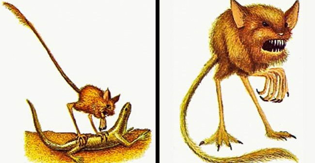 Who Would Have Expected These Strange Creatures to Live with Humans