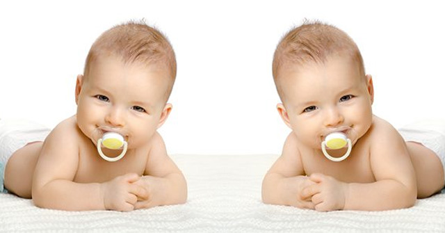 Twins Zygote: Why Are There Identical Twins, Some Are Not?