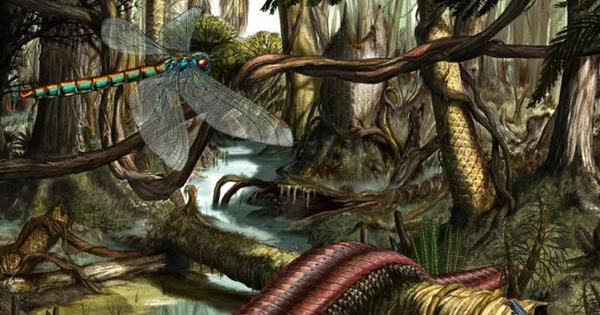 Why Do Insects Abandon Their Large Prehistoric Bodies and Become