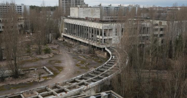 Will Disaster Happen When the Leaves in Chernobyl Area Do Not Decompose?