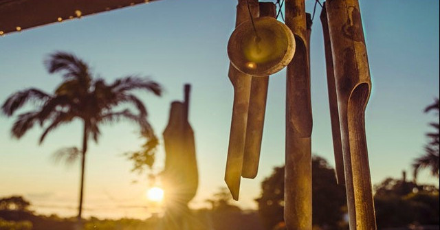 Wind Chimes Can Encourage Children to Eat More Green Vegetables