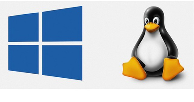 Windows Subsystem for Linux Is About to Appear on Windows Server