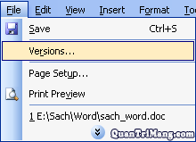 Working with Files Saved as Version (Version)