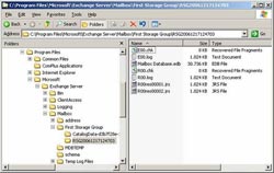 Database: Works with Recovery Storage Groups