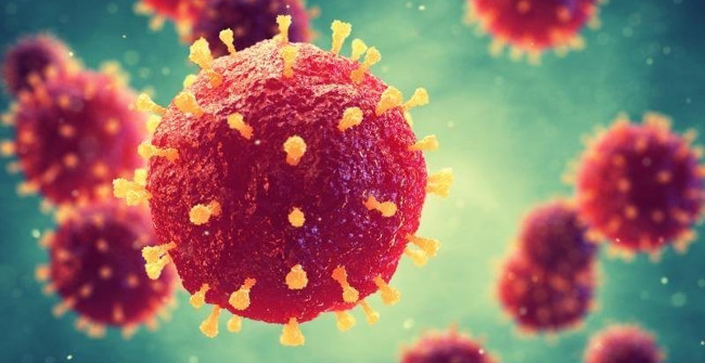 World Health Organization Warns
