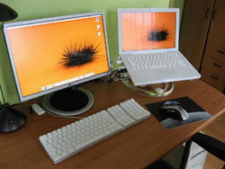 Year-end Technology Purchases: Things to Know