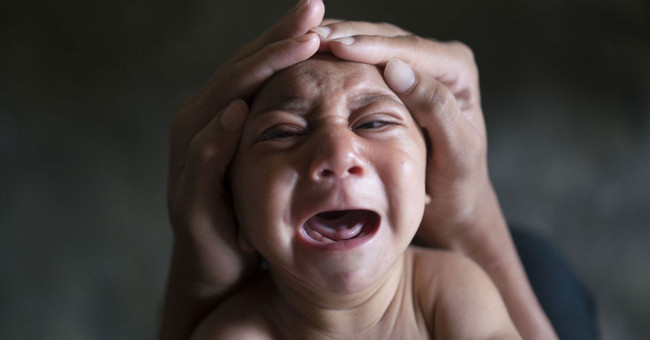 Zika Will No Longer Be Scary If This Research Succeeds