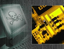 News: Zotob. B Causes Many Computer Carriers to Fail