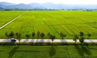 1 square meter of land, ha calculated according to the land of the South, Central and North